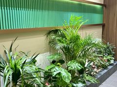 -通透堂中医·精准推拿(旗舰店)