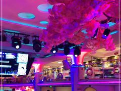 -巴特餐饮6加1音乐餐吧·新疆菜