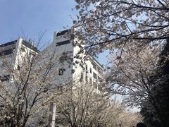 -武汉大学-樱园