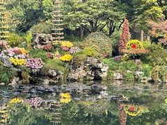 -杭州植物园
