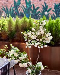 -花隐·美芙炫海菲秀皮肤管理中心