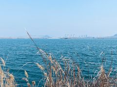 -南湖国家城市湿地公园