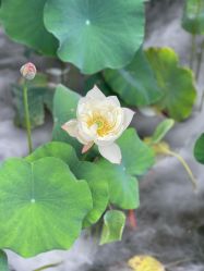 -爱儿美儿童摄影(朝阳公园店)