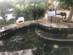 -大顶子山温泉旅游区