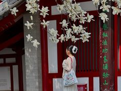 -大慈恩寺(大雁塔)