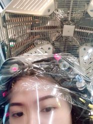 -藤野造型·专业烫染店