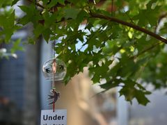 -VOYAGE COFFEE(杨梅竹店)