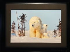 -罗红摄影艺术馆