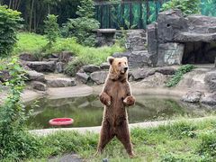 -宁波野生动物园