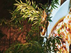 -湘邻呷铺·田园家宴(汉基广场店)