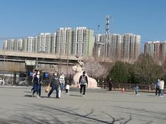 -永定河休闲森林公园