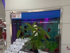 -雅悦齿科(顾村公园店)