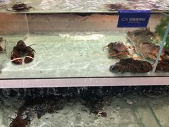 -盒马鲜生(新都心店)