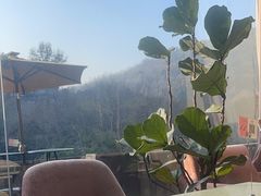 -简象咖啡CAFE ELE JANE(满陇桂雨店)