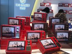 -上海浦东国际机场-T2航站楼