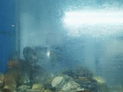 -阳光码头海鲜火锅(世纪大道店)