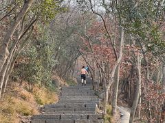 -紫金山山顶公园
