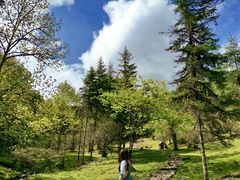 -硗碛藏寨·神木垒景区