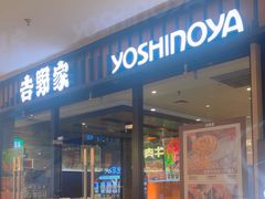 -吉野家(红博中央公园店)