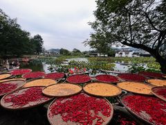 -呈坎景区