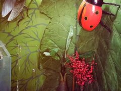 -上海大自然野生昆虫馆