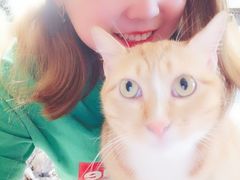 -MOYOYO猫咪咖啡店