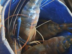-澜悦港海鲜体验主题餐厅