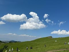 -灵山