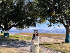 -洱海月湿地公园