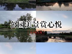-两河城市森林公园