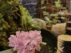 -华冠悠岚·庭院餐厅(青城后山店)