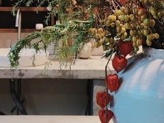 -自由生长植物工作室(深港花卉中心店)