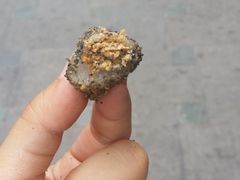 -叶氏麻糍(鼓浪屿店)