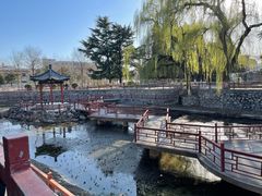 -保定市动物园
