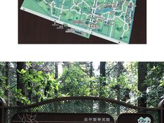 -东平国家森林公园