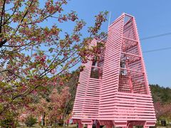 -绵阳盛世樱花悠乐谷