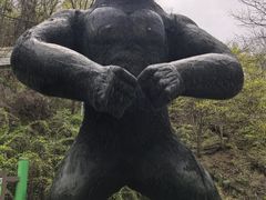 -栾川竹海野生动物园