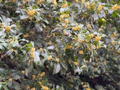 -南山风景名胜区