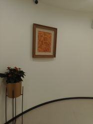 -丰联丽格医疗美容·联合丽格眼整形中心