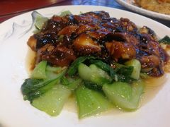 香菇油菜-靠山屯东北农家菜(八龙桥雅苑店)