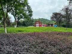 -铁山坪森林公园