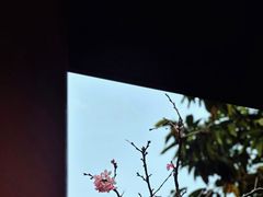 -小南山公园