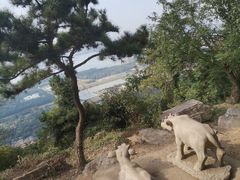 -虞山风景区