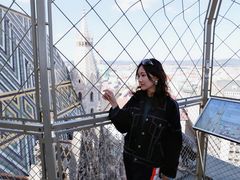 -斯蒂芬主教座堂(Stephansdom)