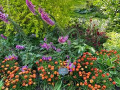 -国家植物园南园