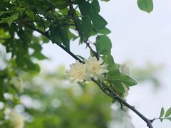 -太阳宫公园