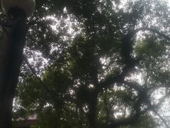 -桂林独秀峰王城景区