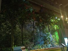 -香港科学馆