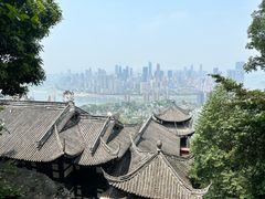 -南山植物园