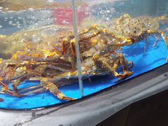 -徐记海鲜·宴会(大唐西市|丰庆店)